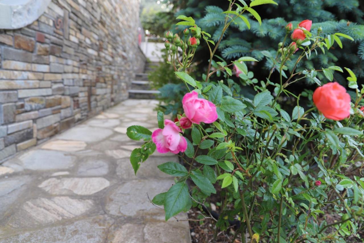 Villa Belle Maison à Kavala Extérieur photo